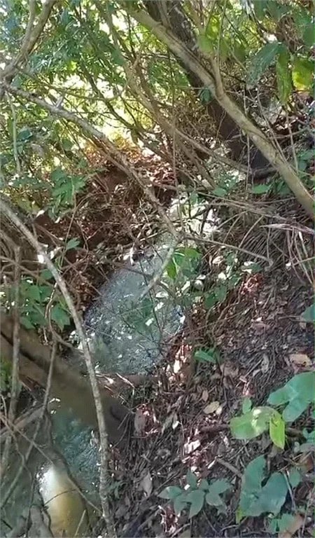 Fazenda à venda com 2 quartos no Centro, Estreito, MA