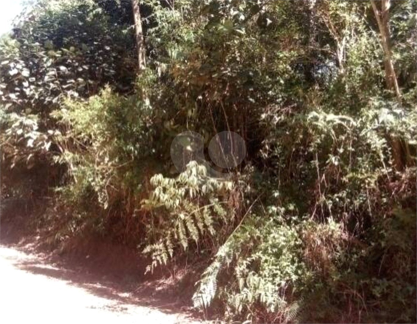 Terreno à venda em Estância Angelina, Suzano, SP