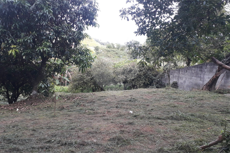 Terreno à venda ou para alugar com 4 quartos, sendo 1 suíte, em Tremembé, São Paulo, SP