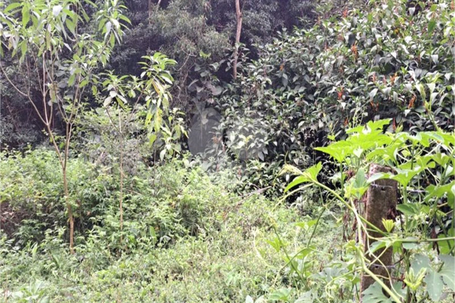 Terreno à venda no condomínio Parque Suiça, Caieiras - SP