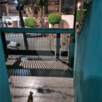 Sobrado à venda com 3 quartos, sendo 1 suíte, em Lar São Paulo, São Paulo, SP