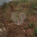 Lote no Jardim do Bosque, aceita financiamento ou aquisição de terreno e construção .