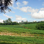 Terreno à venda em Iara, Atibaia, SP