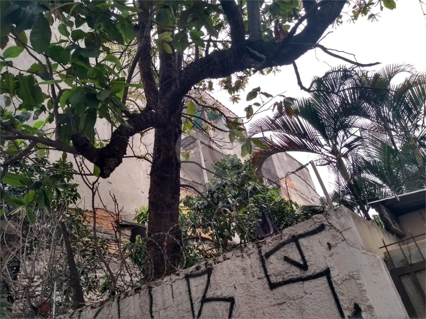 Prédio à venda em Santana, São Paulo, SP