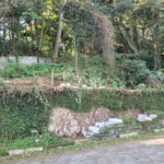 Terreno à venda no condomínio Parque Imperial da Cantareira, Mairiporã - SP