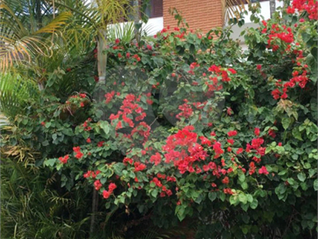 Terreno à venda com 3 quartos, sendo 1 suíte,  em Horto Florestal, São Paulo, SP