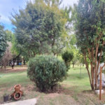 Chácara à venda com 3 suítes em Monterrey, Louveira, SP