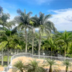 Casa à venda com 6 suítes no condomínio Sausalito, Mairiporã - SP