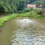 Vende-se chácara com lago Nazare Paulista com 3.000 m²