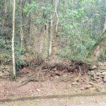 Terreno à venda no condomínio Alpes da Cantareira, Mairiporã - SP