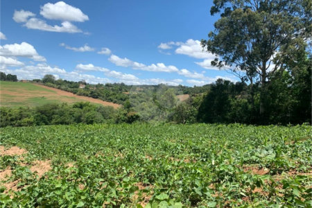 Área de Terra à venda em Cristóvão, Araçoiaba da Serra, SP