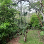 Casa Térrea à venda com 4 quartos, sendo 2 suítes, em Serra da Cantareira, Mairiporã, SP