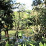Terreno à venda em Chácara Flora, São Paulo, SP
