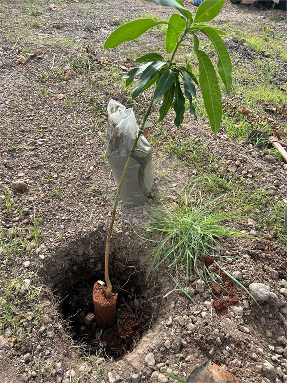 Terreno à venda em Nossa Senhora da Guia, Cuiabá, MT