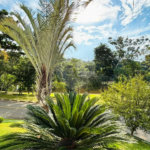 Casa à venda com 4 suítes no condomínio Dos Lagos, Itupeva - SP