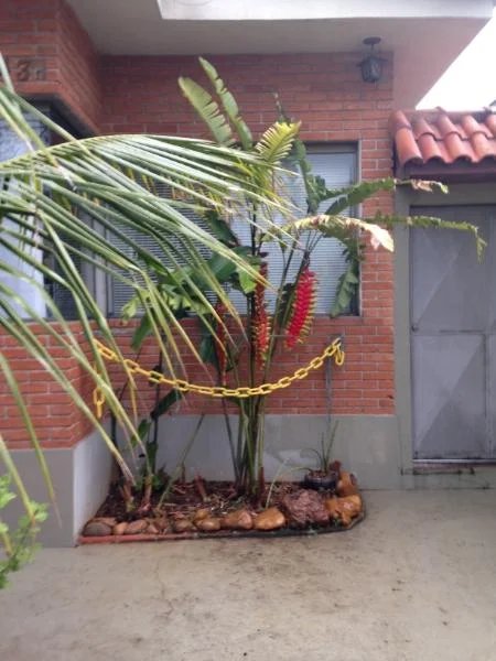 Casa Térrea à venda com 3 quartos, sendo 1 suíte, em Vila Cordeiro, São Paulo, SP