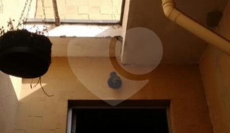 Sobrado à venda com 2 quartos em Vila Nova Cachoeirinha, São Paulo, SP