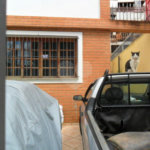 Sobrado à venda com 3 quartos, sendo 1 suíte, em Vila Romero, São Paulo, SP
