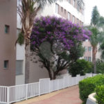 Apartamento à venda com 2 quartos em Vila Parque Jabaquara, São Paulo, SP