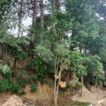 Casa à venda com 4 suítes no condomínio Alpes de Mairiporã, Mairiporã - SP