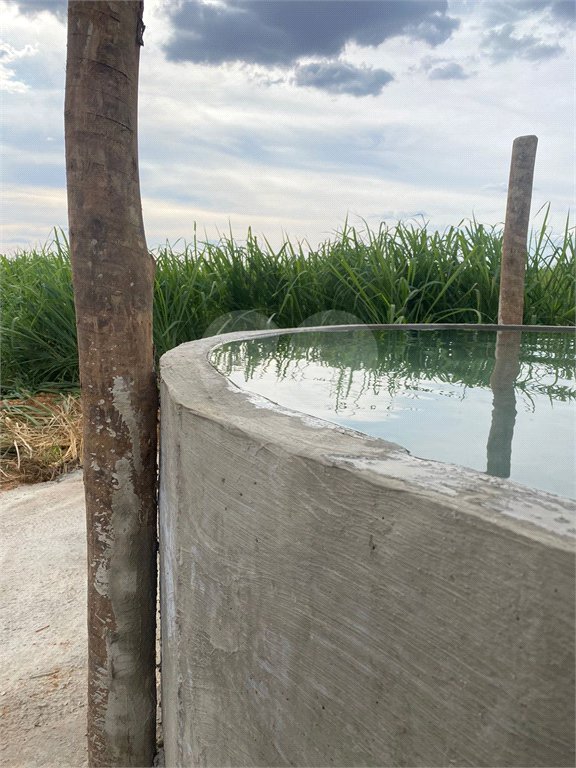 Fazenda à venda com 2 quartos em Canabrava, João Pinheiro, MG