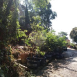 Terreno à venda em Tremembé, São Paulo, SP