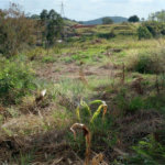 Terreno à venda em Monterrey, Louveira, SP