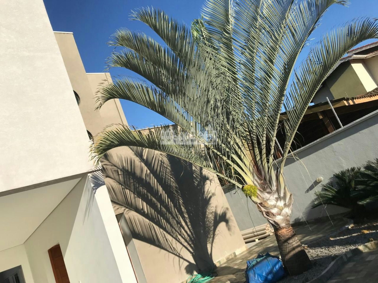 Casa, 5 quartos, 450 m² - Foto 18