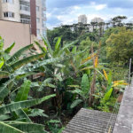 Terreno à venda em Santana, São Paulo, SP