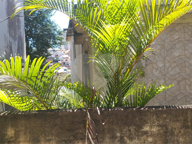 Casa à venda com 5 quartos em Imirim, São Paulo, SP