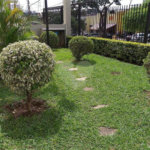 Apartamento à venda com 2 quartos em Jardim Ivana, São Paulo, SP
