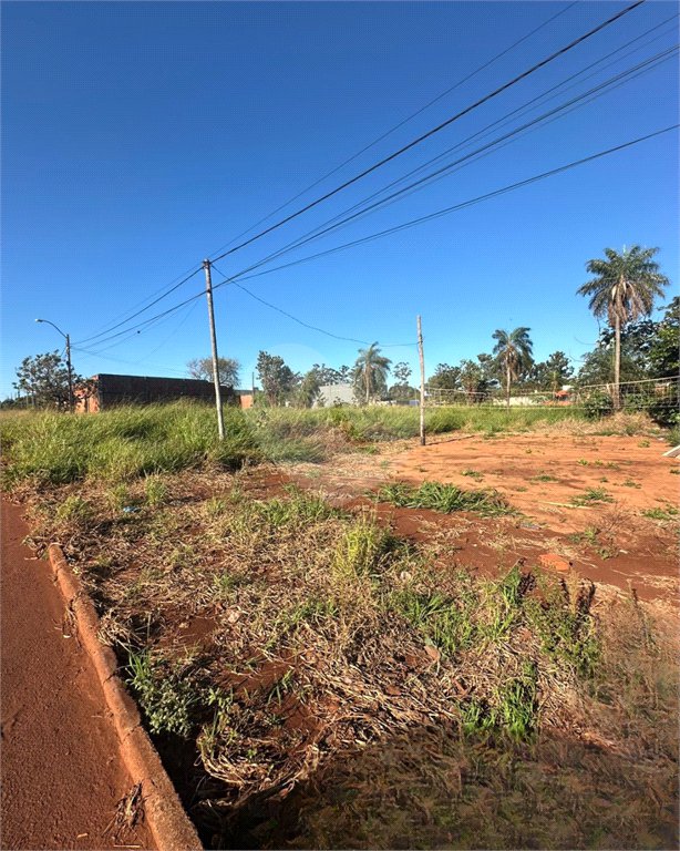 Terreno à venda em Pedro Juan Caballero, Amambay