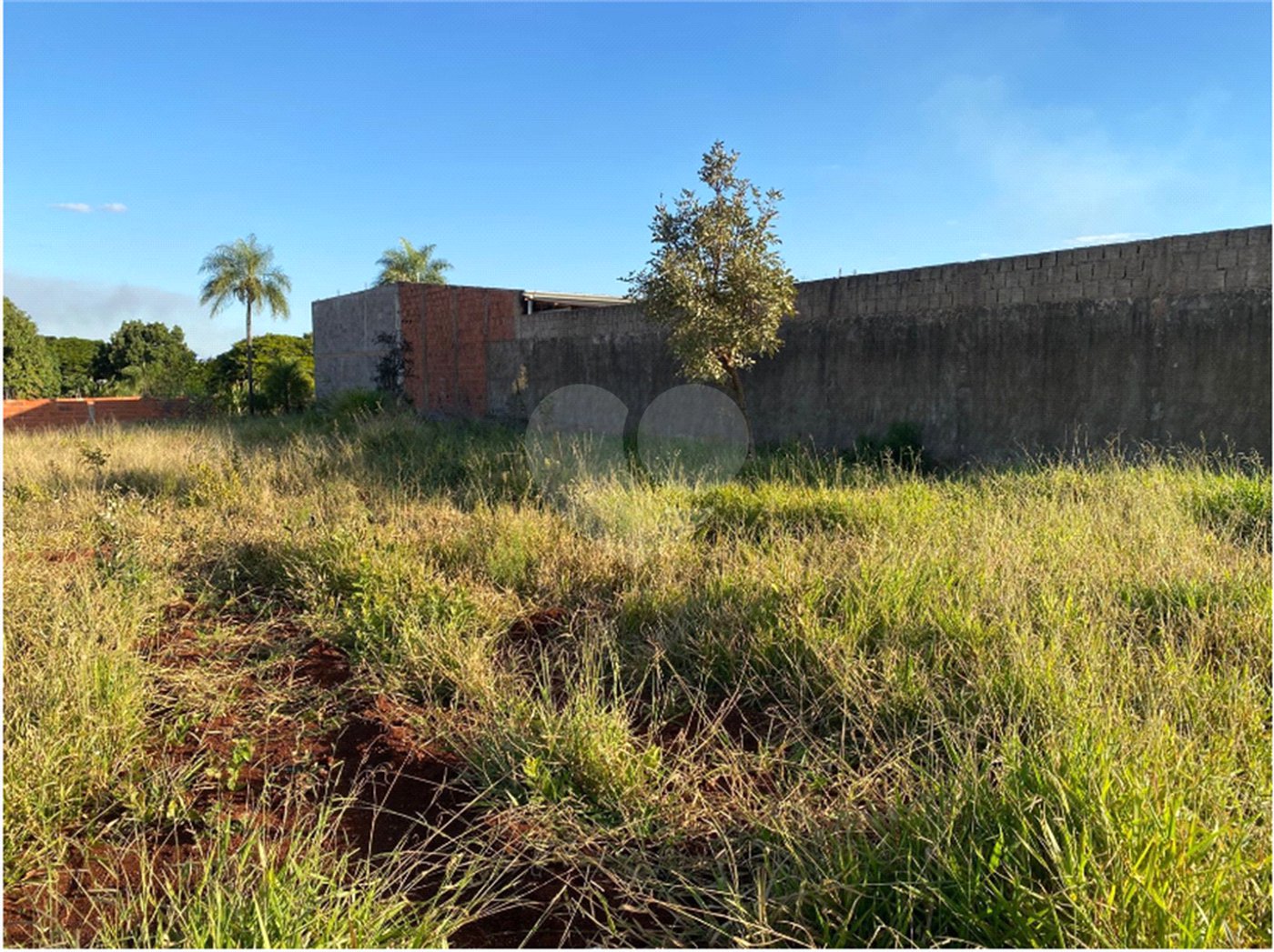Terreno à venda no condomínio Terreno na Rua Lucelia, Ponta Porã - MS