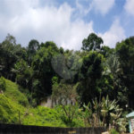 Terreno à venda em Tremembé, São Paulo, SP
