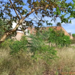 Terreno à venda em Jardim Itaú, Ribeirão Preto, SP