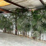 Casa à venda com 3 quartos, sendo 1 suíte,  em Vila Figueira, Suzano, SP