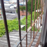 Casa Térrea à venda com 4 quartos em Vila Nova Cachoeirinha, São Paulo, SP