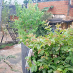 Casa à venda com 2 quartos em Jardim Europa, Sorocaba, SP