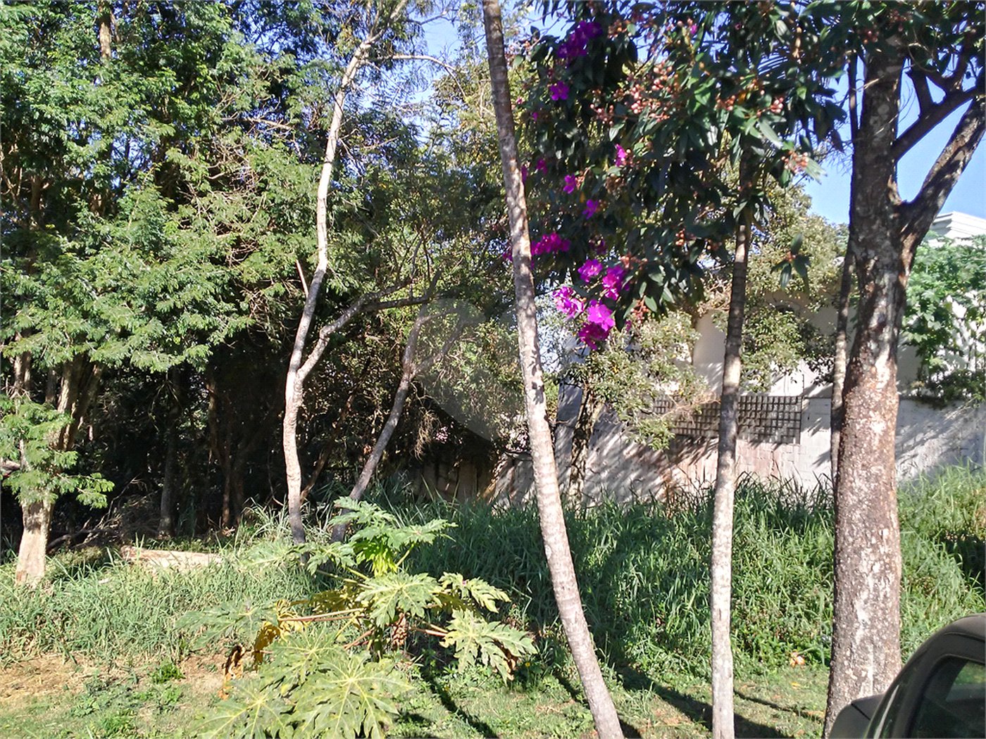 Terreno à venda em Tucuruvi, São Paulo, SP