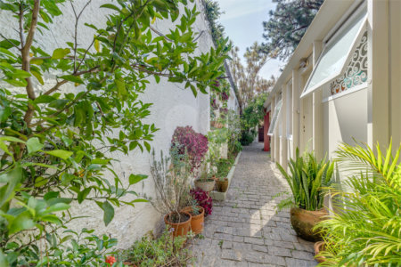 Casa Térrea à venda com 3 quartos, sendo 1 suíte,  em Chácara Monte Alegre, São Paulo, SP