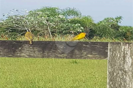 Casa à venda com 5 quartos, sendo 3 suítes, no condomínio Residencial Vale das Laranjeiras, Indaiatuba - SP
