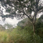 Terreno à venda em Ferradura, Armação dos Búzios, RJ