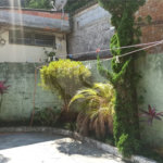 Casa à venda com 6 quartos em Jardim Oriental, São Paulo, SP