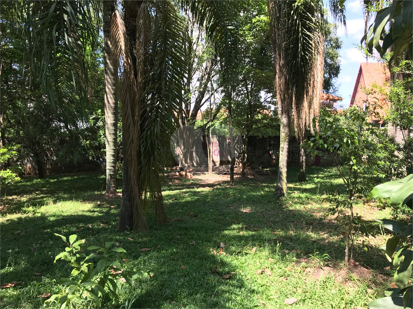 Terreno à venda em Lar São Paulo, São Paulo, SP