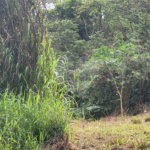 Terreno à venda em Barreiro, Mairiporã, SP