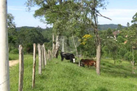 Área de Terra à venda em Alto da Serra (mailasqui), São Roque, SP