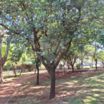 Apartamento à venda com 2 quartos em Reserva Sul Condomínio Resort, Ribeirão Preto, SP