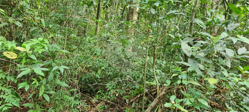 Terreno à venda em Caraguatá, Mairiporã, SP