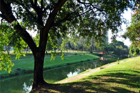 Terreno à venda em Jardim Esplanada, Indaiatuba, SP