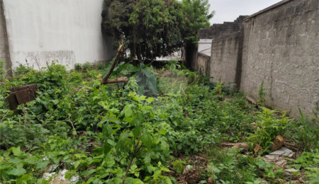 Terreno à venda com 1 suíte em Vila Constança, São Paulo, SP